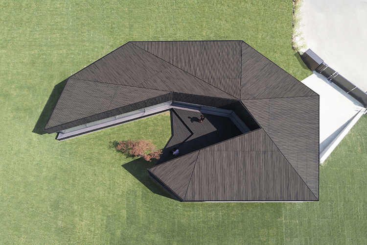 Claw House Botticini Facchinelli (12)