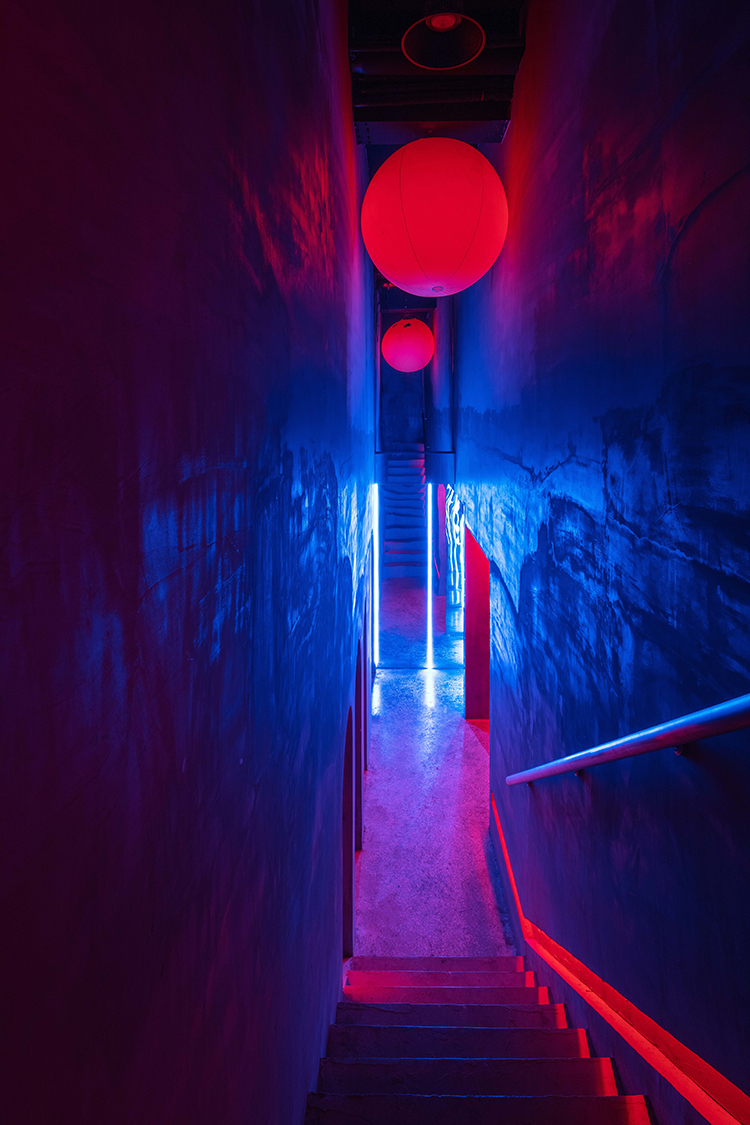 Molly Club JH Architecture (7)