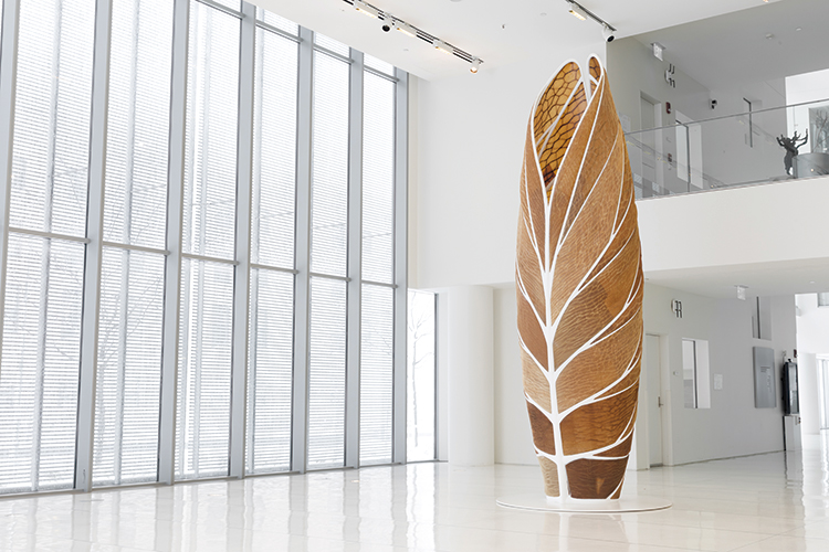 aguahoja nery oxman the mediated matter group (4)