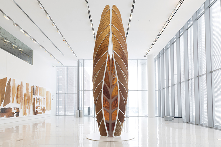 aguahoja nery oxman the mediated matter group (6)