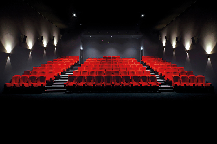 cine de riom arcadia (1)