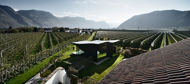 The-Mirror-Houses–Peter-Pichler-Architecture-(14)