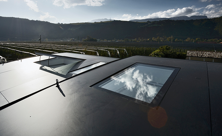 The-Mirror-Houses–Peter-Pichler-Architecture-(16)