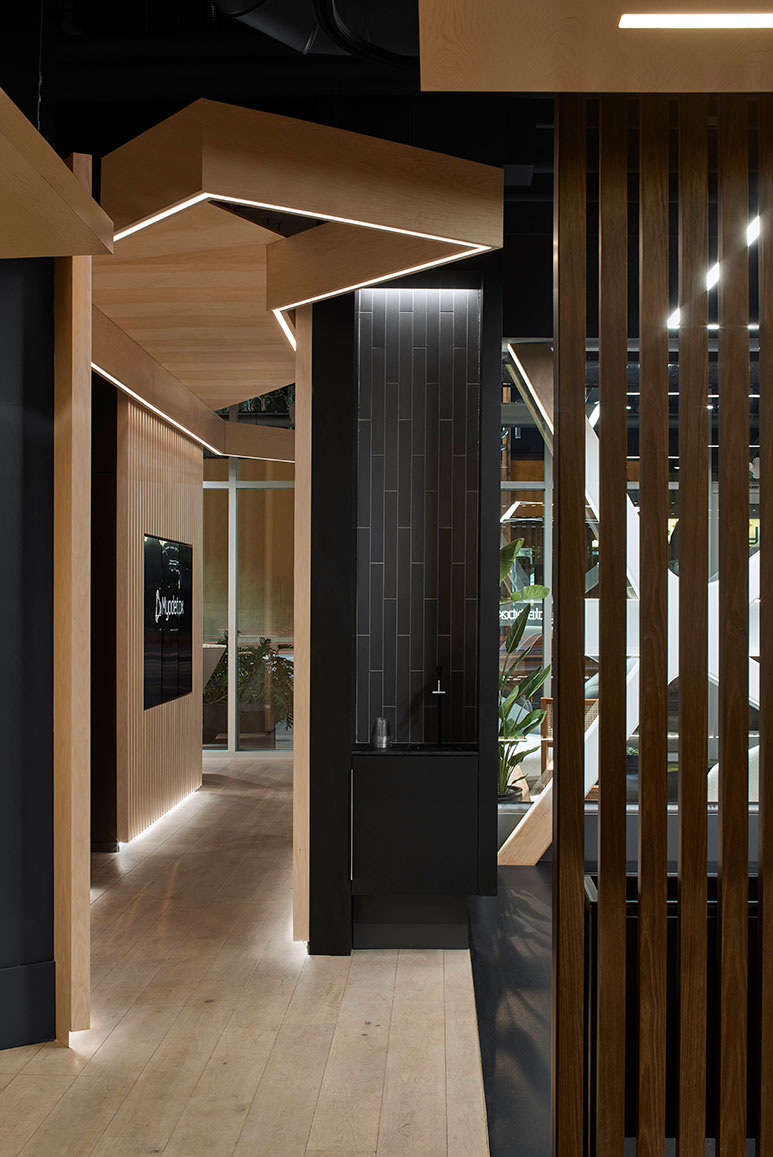 Myodetox Reflect Architecture (2)