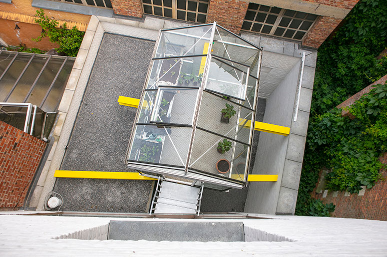 House TP Urban farming in the city (2)