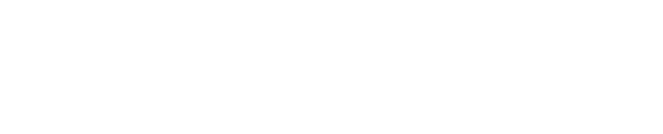 Logo De Stefano NUEVO 2021