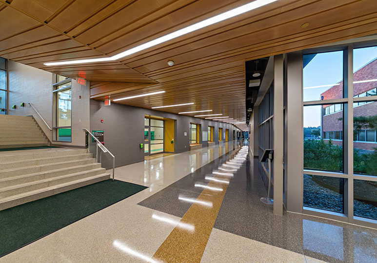 Dressel Elementary School Ittner – Cordogan Clark Architecture (6)