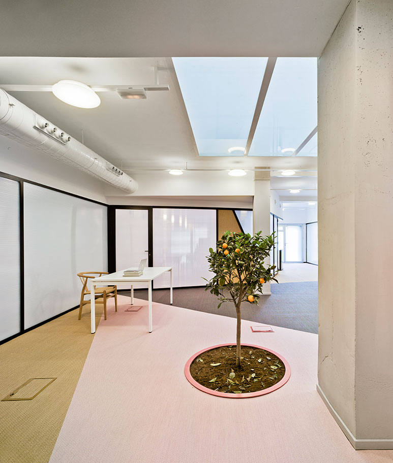 Oficinas Lano Fruits Laura Ortín (8)