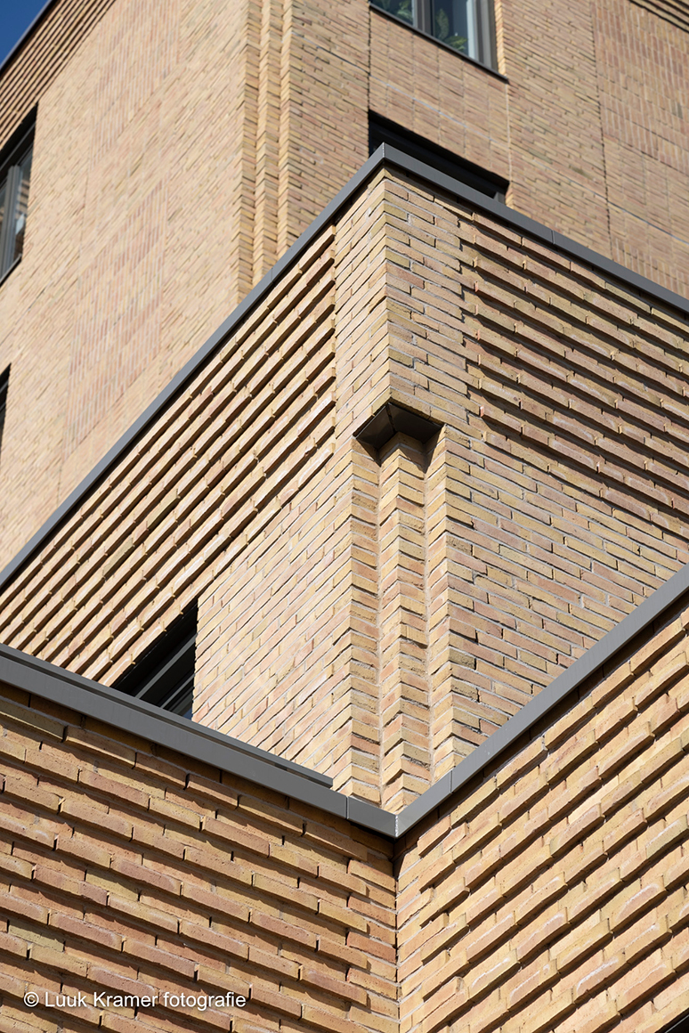 Cape Horn M3H Architects (4)